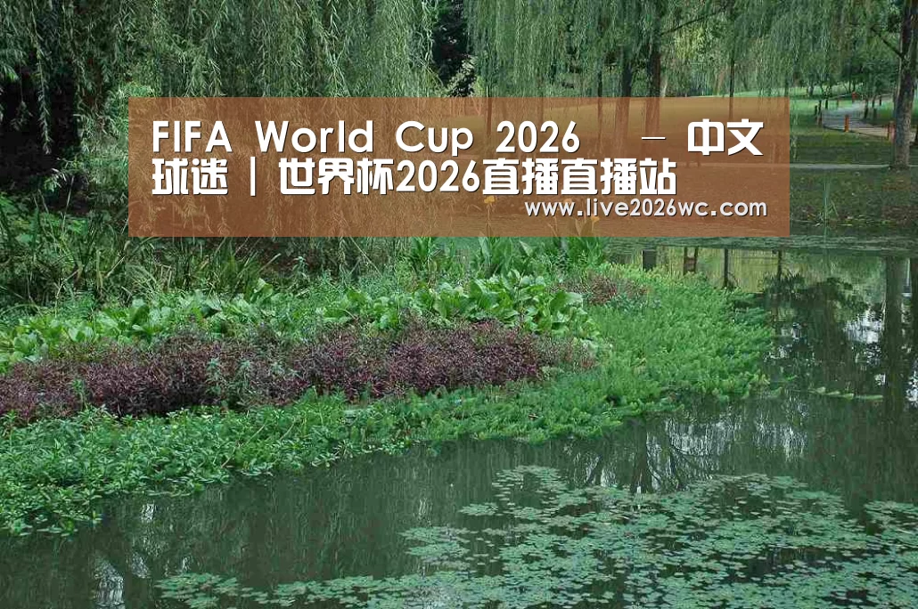 案例展示一(图1)