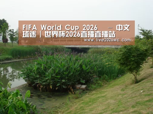 案例展示四(图1)