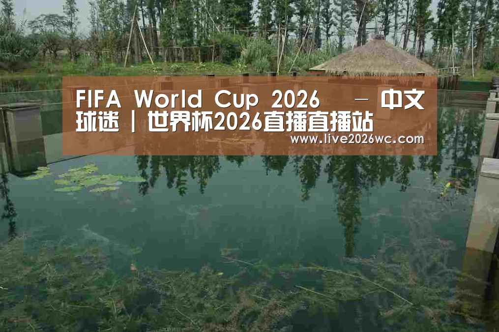 案例展示二(图1)