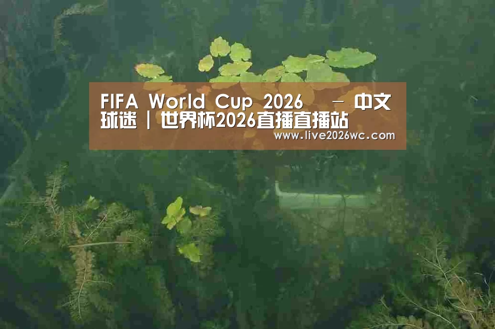 案例展示三