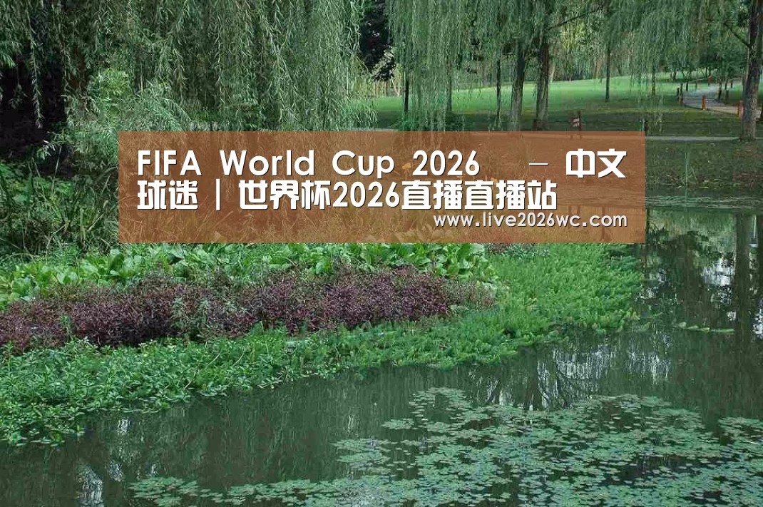 案例展示一