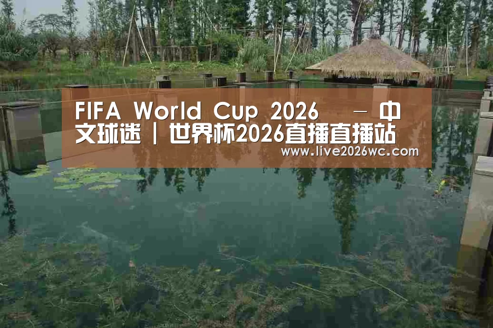 案例展示二