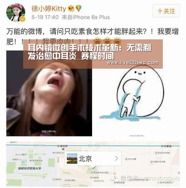 球队资料