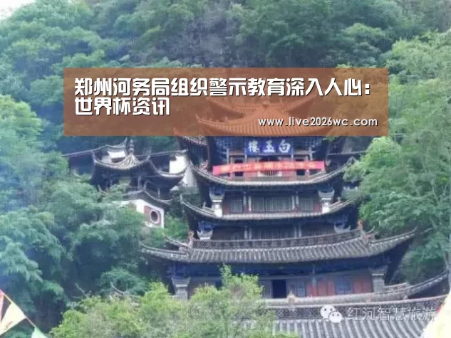球队资料
