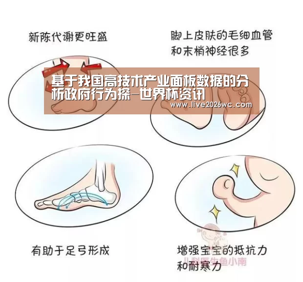 基于我国高技术产业面板数据的分析政府行为探-世界杯资讯