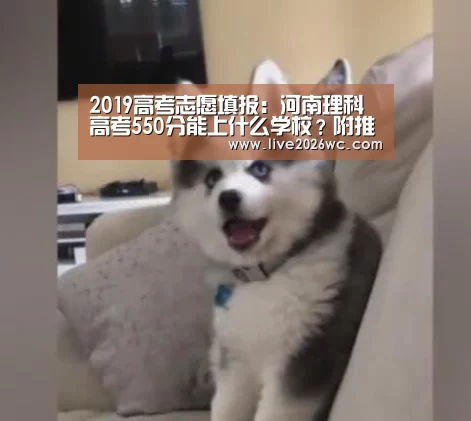 球队资料