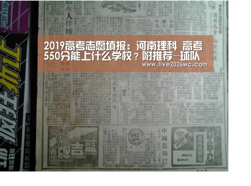 球队资料