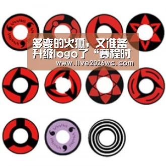 球队资料