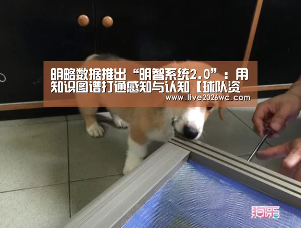 赛程时间