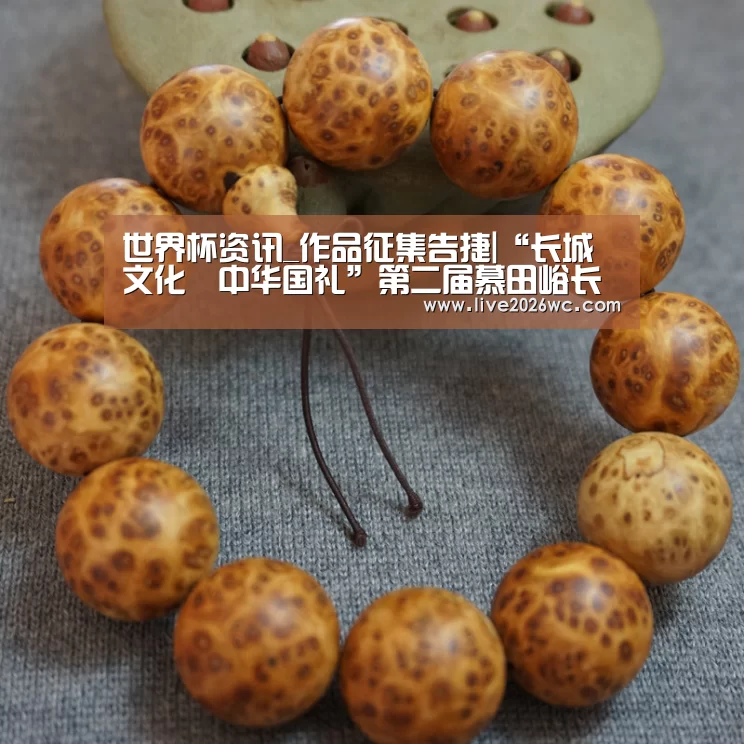 新闻快讯