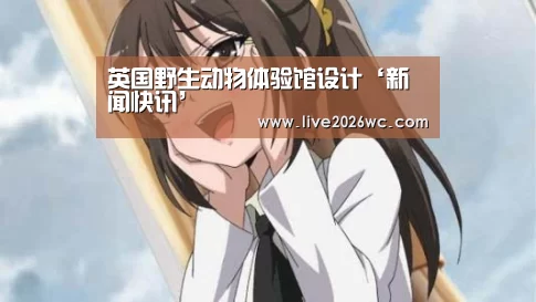 赛程时间