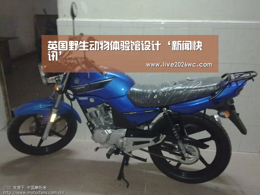 赛程时间