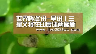 球队资料