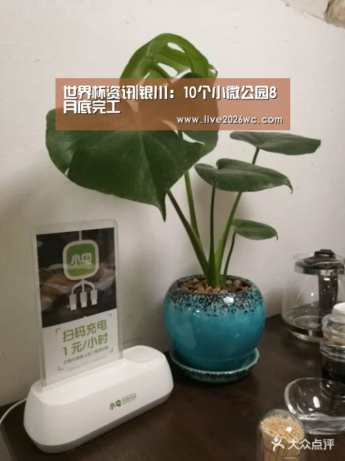 赛程时间